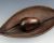 seed pod1