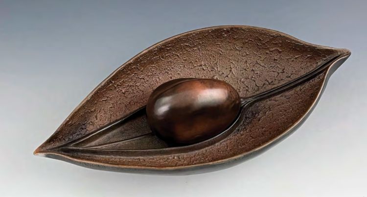 seed pod1