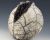 seedpod3
